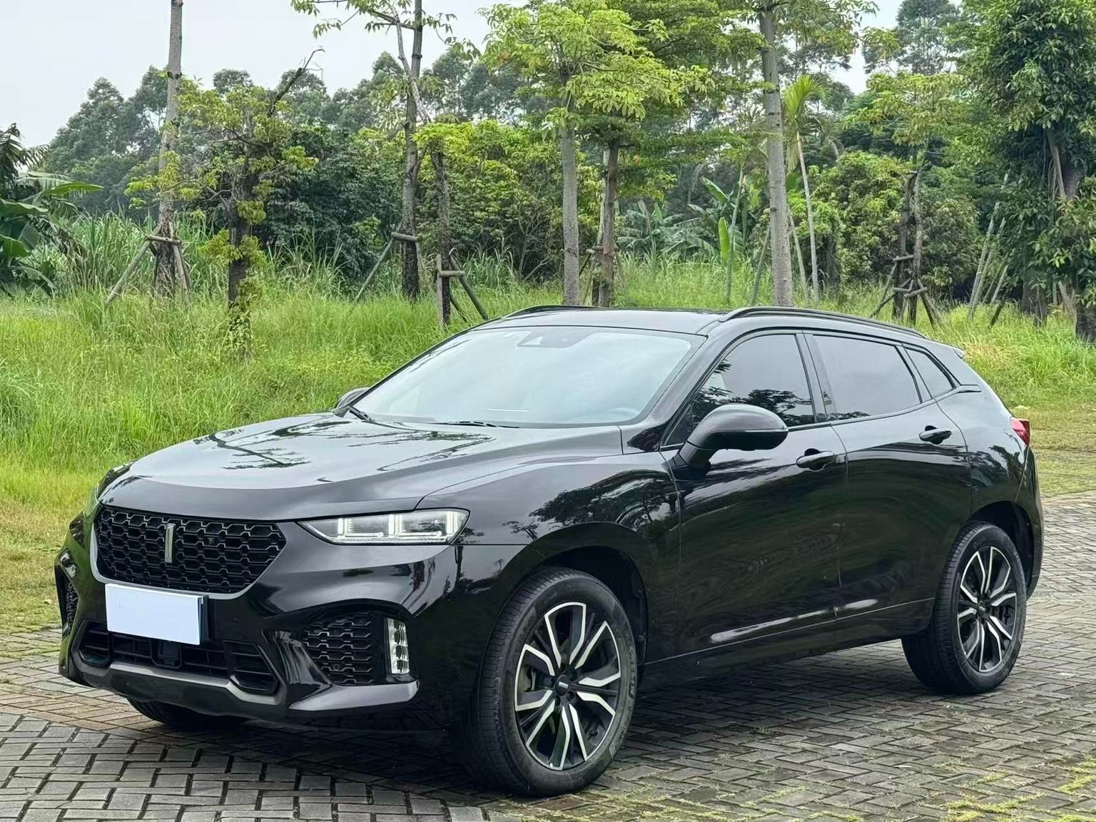 2017 WEY VV7 2.0T