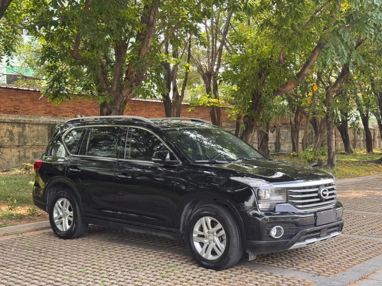 GAC Trumpchi GS8 2.0T photo 3