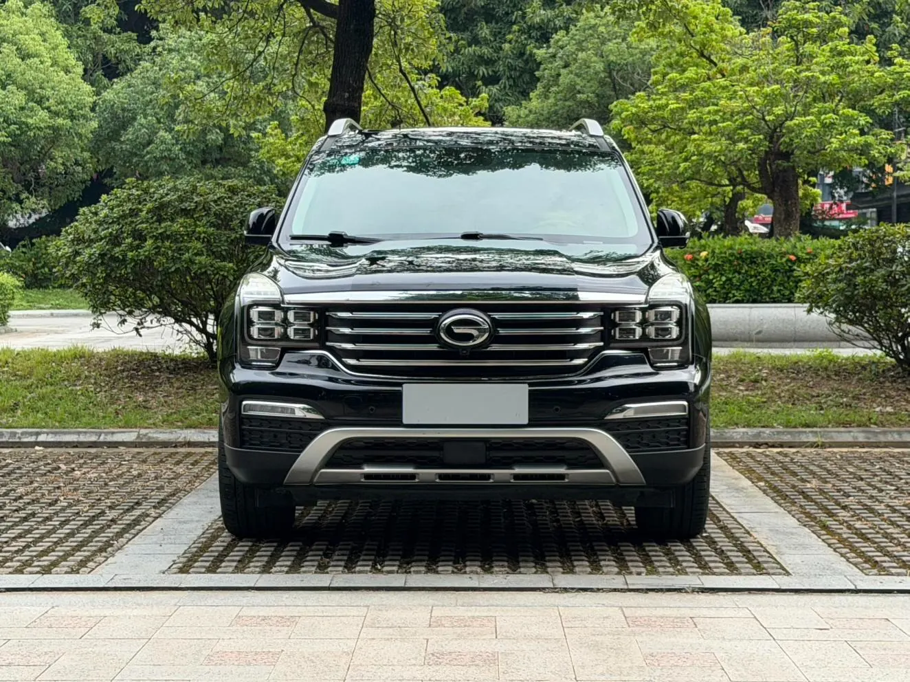 GAC Trumpchi GS82.0T photo 2
