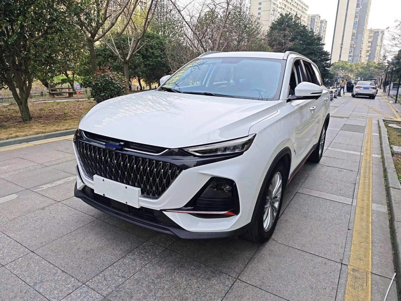 Changan Oshan X7 PLUS 1.5T photo 2